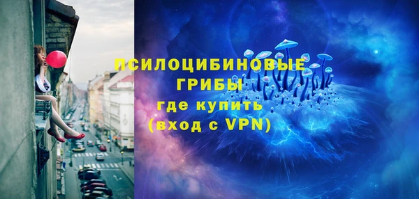 apvp Горно-Алтайск